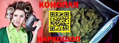 стафф Краснознаменск