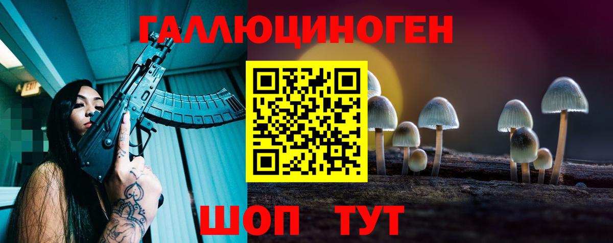 Корсаков  Псилоцибиновые грибы мицелий  Вход с VPN 